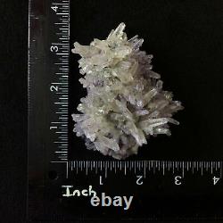 Fluorite on Quartz Specimen 170201 Chihuahua Mexico Display Piece Metaphysical