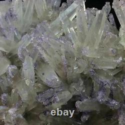 Fluorite on Quartz Specimen 170201 Chihuahua Mexico Display Piece Metaphysical