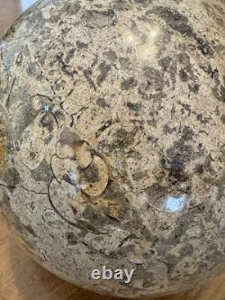 Fossil Sphere fossil shell 8 inch 24 pounds