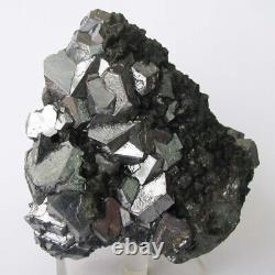 GALENA BRILLIANT OCTAHEDRAL CRYSTALS & TETRAHEDRITES from PERÚ. GREAT PIECE