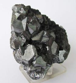 GALENA BRILLIANT OCTAHEDRAL CRYSTALS & TETRAHEDRITES from PERÚ. GREAT PIECE