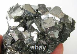 GALENA BRILLIANT OCTAHEDRAL CRYSTALS & TETRAHEDRITES from PERÚ. GREAT PIECE