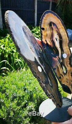 Giant Agate Butterfly Display Piece. Stunning Natural Agate. Healing Crystal