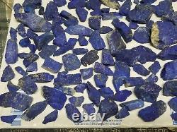 Gigantic Lot Of 240 Plus Lapis Lazuli Gem Stone Rock Pieces