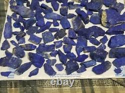 Gigantic Lot Of 240 Plus Lapis Lazuli Gem Stone Rock Pieces