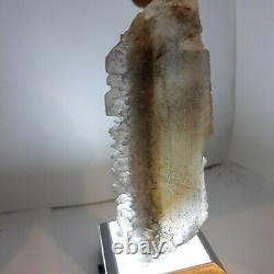 Golden fishtail selenite with rare coal 4lb. 5 collectors pieces