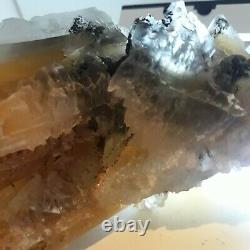 Golden phantom fishtail selenite cluster with rare coal. Collectors piece. 2lb
