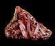 Gorgeous Crocoite Crystals On Matrix Red Lead Mine Old Piece Dundas Tasmania