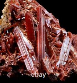 Gorgeous Crocoite Crystals on Matrix Red Lead Mine Old Piece Dundas Tasmania