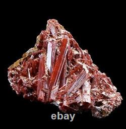 Gorgeous Crocoite Crystals on Matrix Red Lead Mine Old Piece Dundas Tasmania