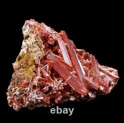Gorgeous Crocoite Crystals on Matrix Red Lead Mine Old Piece Dundas Tasmania