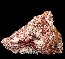 Gorgeous Crocoite Crystals on Matrix Red Lead Mine Old Piece Dundas Tasmania