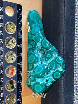 Gorgeous Polished Bullseye Malachite & Chrysocolla Specimen, Collectors Piece