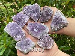 Grade A Amethyst Cluster, Amethyst Geode, Raw Amethyst Druze, Wholesale Bulk Lot