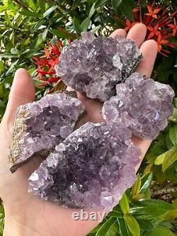 Grade A Amethyst Cluster, Amethyst Geode, Raw Amethyst Druze, Wholesale Bulk Lot