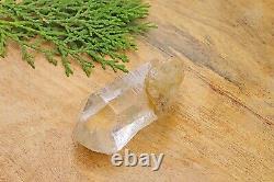 Green Chlorite Rough Quartz Crystal Pointed Healing Rock Mineral Specimen 90gm