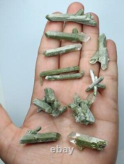 Green Chlorite included Quartz clusters/specimens (60 pieces) Pakistan