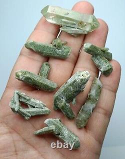 Green Chlorite included Quartz clusters/specimens (60 pieces) Pakistan