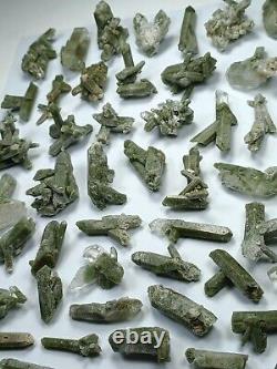 Green Chlorite included Quartz clusters/specimens (60 pieces) Pakistan