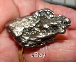 HUGE 102 GM CAMPO DEL CIELO METEORITE CRYSTAL! GREAT PIECE LARGE SIZE With STAND