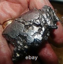 HUGE 200 GM CAMPO DEL CIELO METEORITE CRYSTAL! GREAT PIECE With STAND