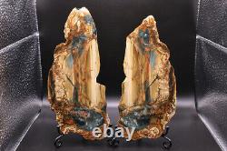 HUGE Jawdropping Blue Mountain Jasper Pair Collectors Pieces! Mirror Polish