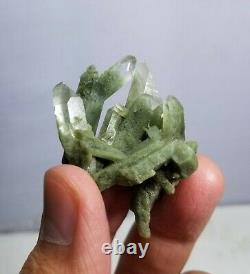 High grade chlorite Quartz Crystals and clusters 280 grams and 8 pieces