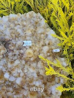 Huge Citrine Cluster with Calcite Statement Piece Original Price $830 7.5 + kg