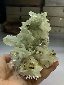 Interesting Collection Pieces Of Chlorine Quartz from pakistan balochistan 1025g