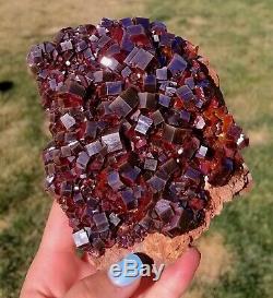 LQQK Vanadinite Cabinet Sized Piece With Lustrous Fire Red Crystals 12.5cms