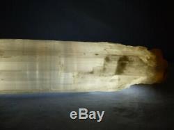 Large 23.5cm White Translucent Selenite Tower Gemstone 1.8kg Stone Piece Harmony