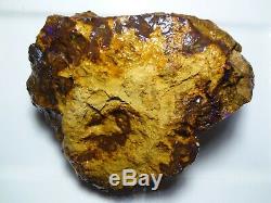 Large 5.3 Kilogram Piece of Boulder Opal Rough Lapidary, Specimen, Collectible