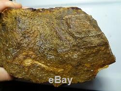 Large 5.3 Kilogram Piece of Boulder Opal Rough Lapidary, Specimen, Collectible