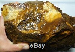 Large 5.3 Kilogram Piece of Boulder Opal Rough Lapidary, Specimen, Collectible