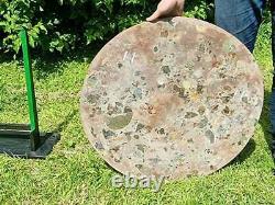 Large Ammonite Fossil Table / Display Piece