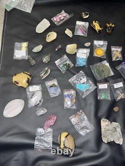 Large Collection of Crystals, Polished Stones, and Fossils 40+ Pieces