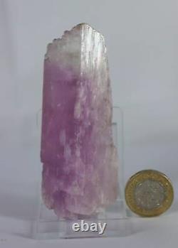 Large Kunzite Raw Crystal Mineral Afghanistan Collectors Piece 102g 9cm