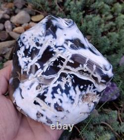 Large Orca Agate, 3lb 5.1oz Gorgeous Drizzled Formation Agate, Display Piece