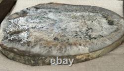 Large Quartz Agate Slab with Druzy Crystal and Moss Inclusions Display Piece