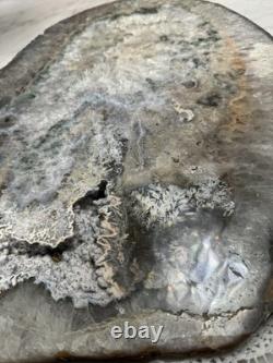 Large Quartz Agate Slab with Druzy Crystal and Moss Inclusions Display Piece