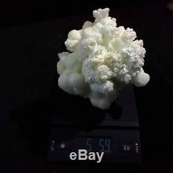 Large White Coral Calcite Specimen Crystal Healing Metaphysical Display Piece