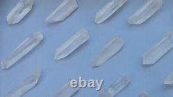 Lemurian Seed Quartz Parcel- 35 Pieces, 678 grams- Serra Do Cabral Brazil- WP5