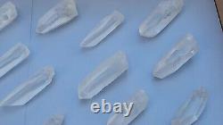 Lemurian Seed Quartz Parcel- 35 Pieces, 678 grams- Serra Do Cabral Brazil- WP5