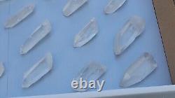 Lemurian Seed Quartz Parcel- 35 Pieces, 678 grams- Serra Do Cabral Brazil- WP5