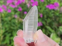 Lemurian Seed Quartz Parcel- 35 Pieces, 678 grams- Serra Do Cabral Brazil- WP5