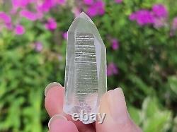 Lemurian Seed Quartz Parcel- 35 Pieces, 678 grams- Serra Do Cabral Brazil- WP5