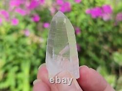 Lemurian Seed Quartz Parcel- 35 Pieces, 678 grams- Serra Do Cabral Brazil- WP5