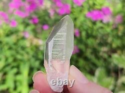 Lemurian Seed Quartz Parcel- 35 Pieces, 678 grams- Serra Do Cabral Brazil- WP5