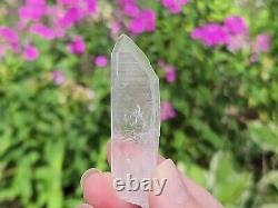 Lemurian Seed Quartz Parcel- 35 Pieces, 678 grams- Serra Do Cabral Brazil- WP5