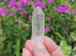 Lemurian Seed Quartz Parcel- 35 Pieces, 678 grams- Serra Do Cabral Brazil- WP5